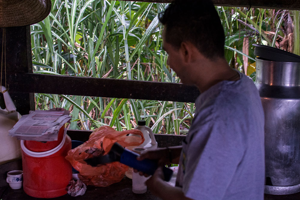 Galería multimedia - La Maporita