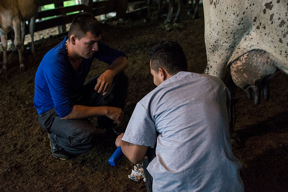 Galería multimedia - La Maporita