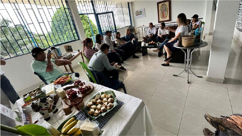 Novedades - La Maporita